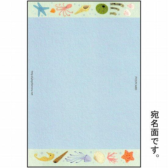 絵本の中のねこ ポストカード（シロネコ・海）の画像