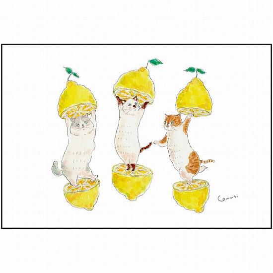 トコロコムギ ポストカード（レモンにゃんこ）の画像