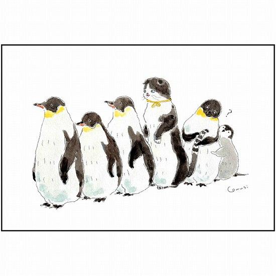 トコロコムギ ポストカード（ペンギン大集合）の画像