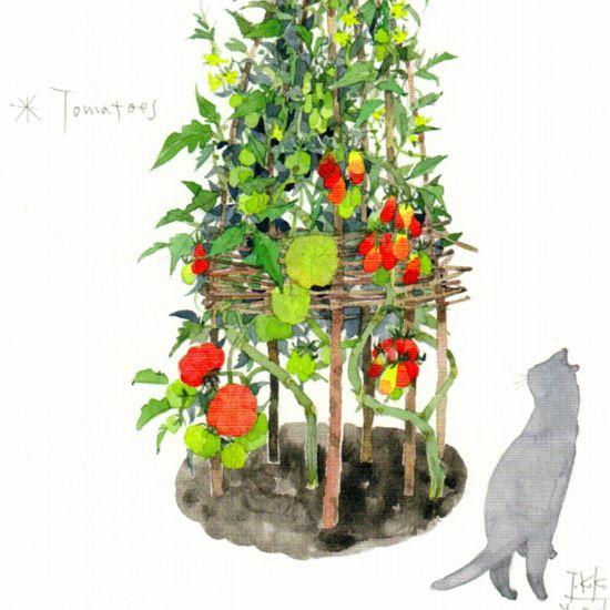 三好貴子 ポストカード（トマト）の画像