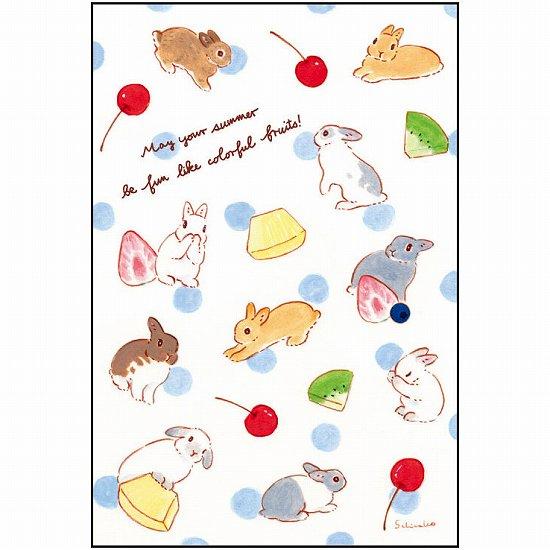 森山標子 ポストカード（色とりどりのフルーツみたいに楽しい夏を！）の画像