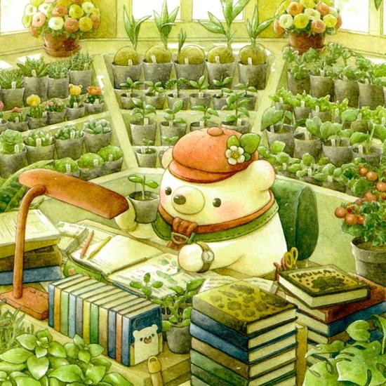 ちっぷ ポストカード（くまの植物研究室）の画像