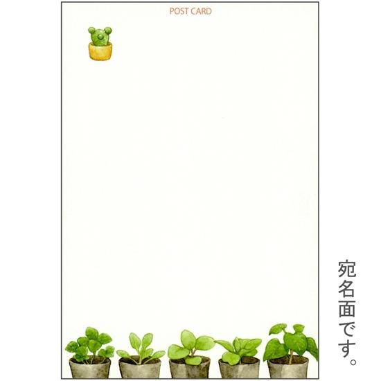 ちっぷ ポストカード（くまの植物研究室）の画像