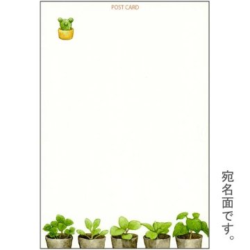 ちっぷ ポストカード（くまの植物研究室）の画像