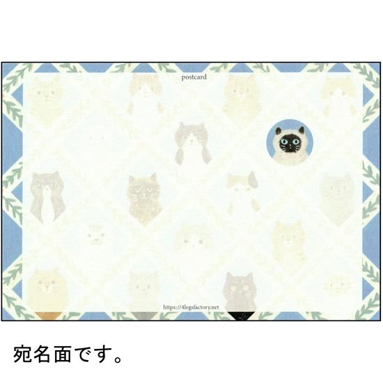 4legs ポストカード（猫のお顔）の画像