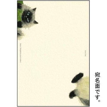 4legs ポストカード（我々と猫　01）の画像