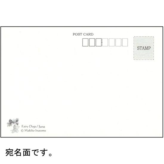 いなとめ まきこ ポストカード（Fairy Dogs/June）の画像
