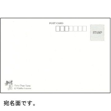 いなとめ まきこ ポストカード（Fairy Dogs/June）の画像
