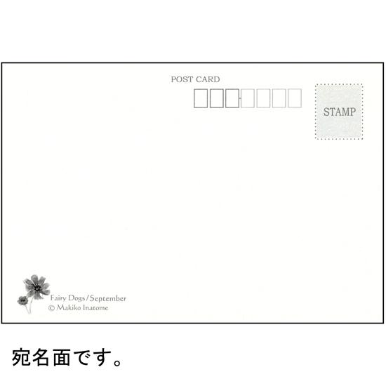 いなとめ まきこ ポストカード（Fairy Dogs/September）の画像