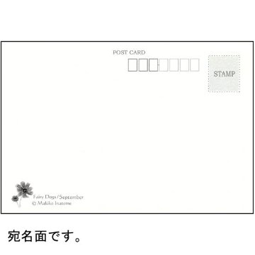 いなとめ まきこ ポストカード（Fairy Dogs/September）の画像