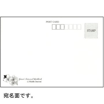 いなとめ まきこ ポストカード（ユルリ/パンジー）の画像