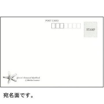 いなとめ まきこ ポストカード（ユルリ/海藻）の画像