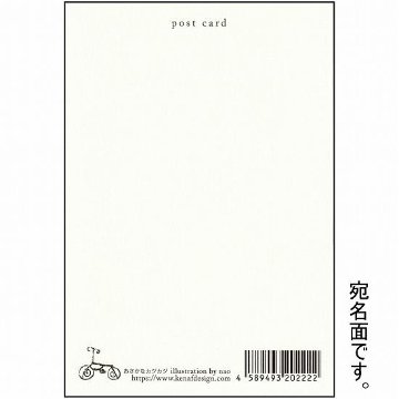 菜生　ポストカード（冬のチョコミント・猫）の画像