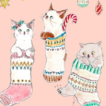 トコロコムギ ポストカード（クリスマスくつ下にゃんこ）の画像