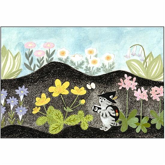 サバトラ旅日記 ポストカード（はる）の画像