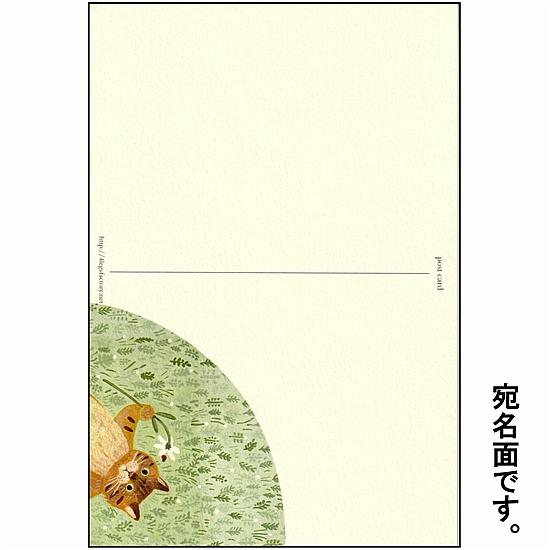 4legs ポストカード（草はらのトラネコ）の画像
