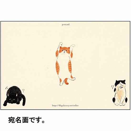 4legs ポストカード（猫が好き）の画像