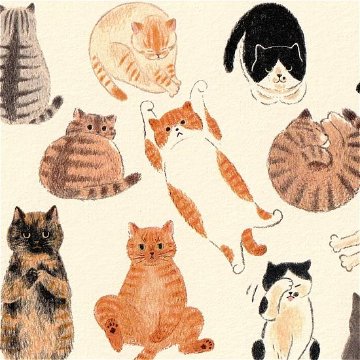 4legs ポストカード（猫が好き）の画像