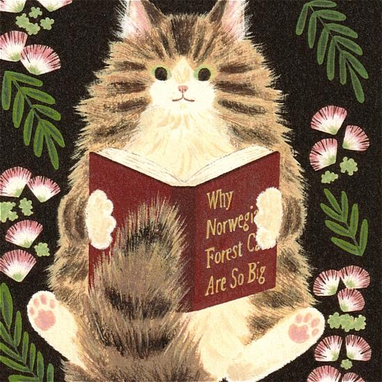 絵本の中のねこ ポストカード（ノルウエージャンと本）の画像