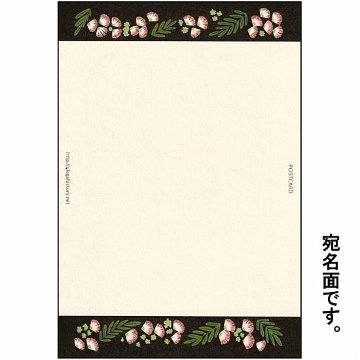 絵本の中のねこ ポストカード（ノルウエージャンと本）の画像