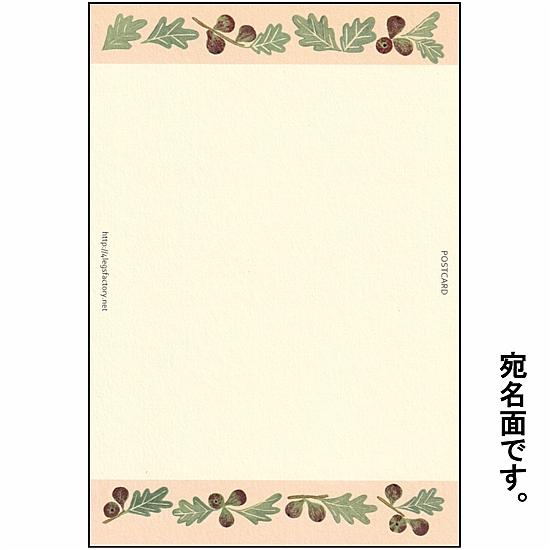絵本の中のねこ ポストカード（スコティッシュとイチジク）の画像