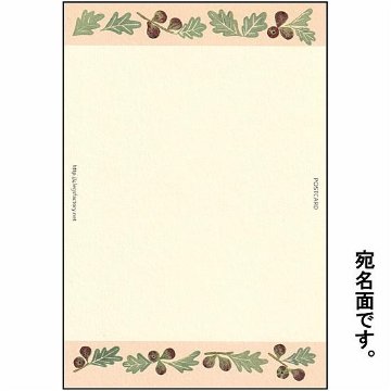 絵本の中のねこ ポストカード（スコティッシュとイチジク）の画像