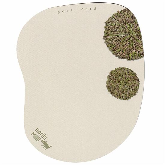 moritaMiW　ポストカード（熊のドー）の画像