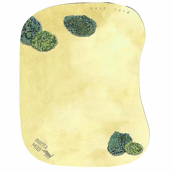 moritaMiW　ポストカード（空地のロンド）の画像