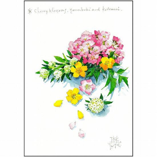 三好貴子 ポストカード（桜、ヤマブキ、こでまり）の画像