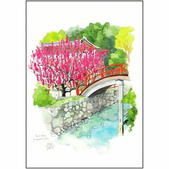 三好貴子 ポストカード（梅と赤い橋）の画像