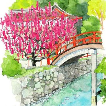 三好貴子 ポストカード（梅と赤い橋）の画像