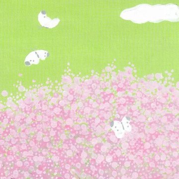 ひらいみも ポストカード（空と桜：チョウ）の画像