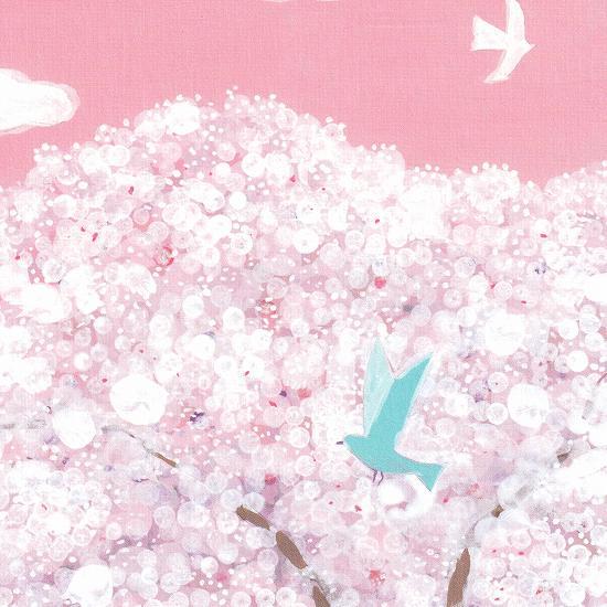 ひらいみも ポストカード（空と桜：青い鳥）の画像