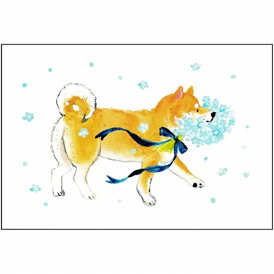 村田夏佳 ポストカード（しばいぬとネモフィラ）の画像