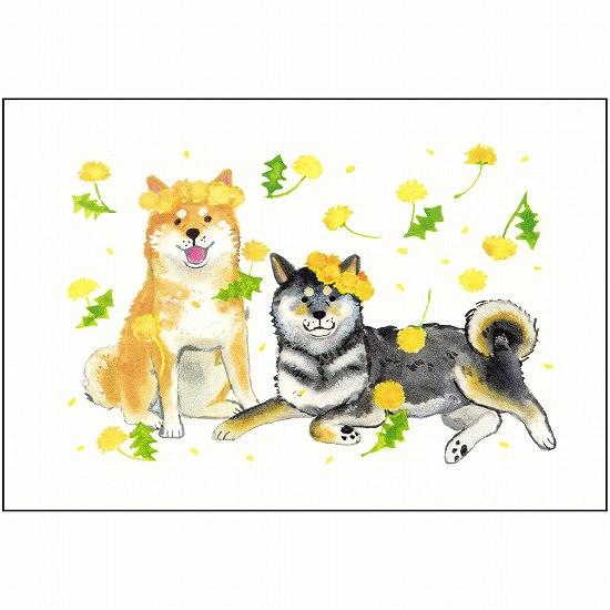 村田夏佳 ポストカード（しばいぬとタンポポ）の画像