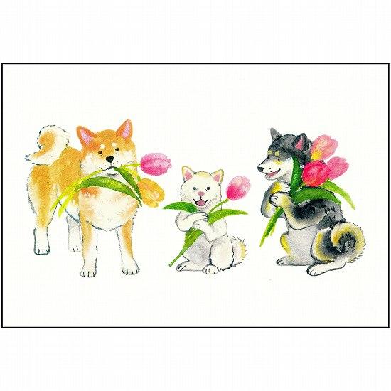 村田夏佳 ポストカード（しばいぬとチューリップ）の画像