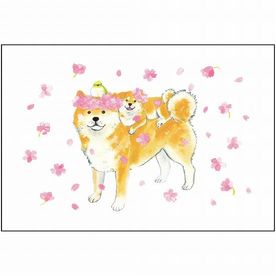 村田夏佳 ポストカード（しばいぬと桜）の画像