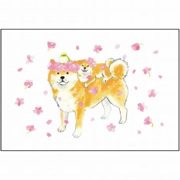 村田夏佳 ポストカード（しばいぬと桜）の画像