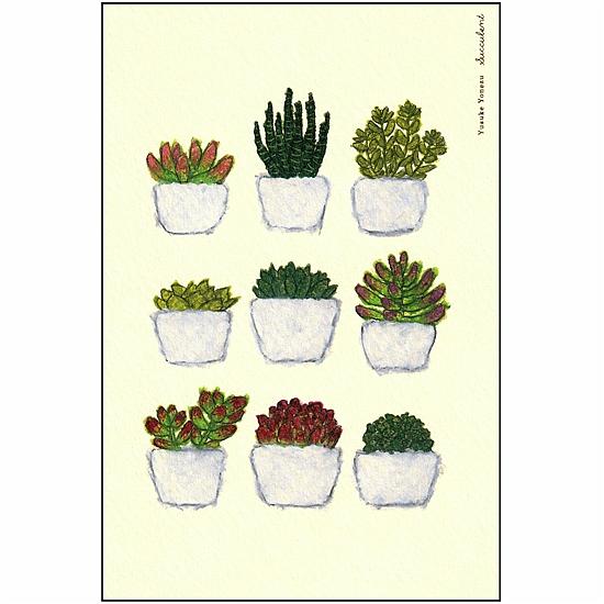 米津祐介 ポストカード（多肉植物）の画像