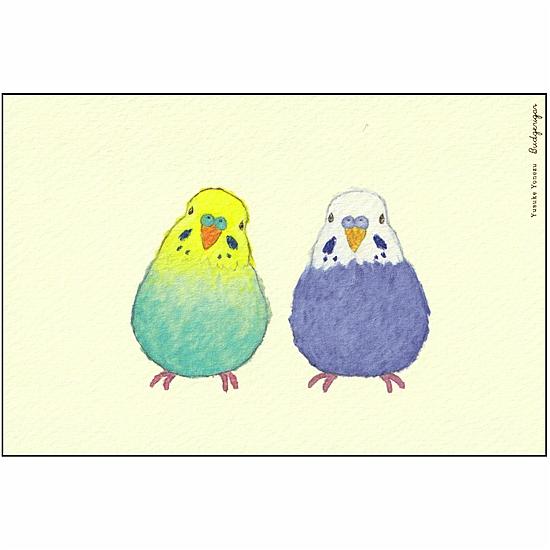 米津祐介 ポストカード（セキセイインコ）の画像