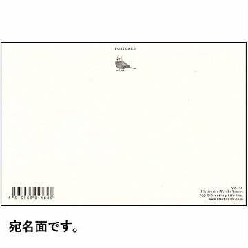 米津祐介 ポストカード（セキセイインコ）の画像