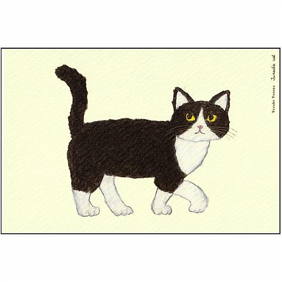 米津祐介 ポストカード（ハチワレねこ）の画像