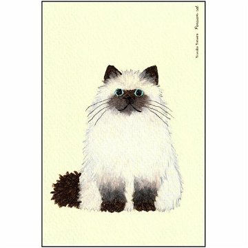 米津祐介 ポストカード（ペルシャねこ）の画像