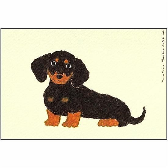 米津祐介 ポストカード（ミニチュアダックスフンド）の画像