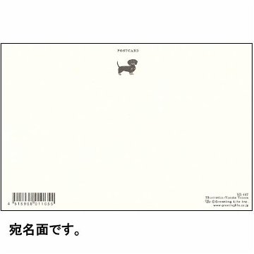 米津祐介 ポストカード（ミニチュアダックスフンド）の画像