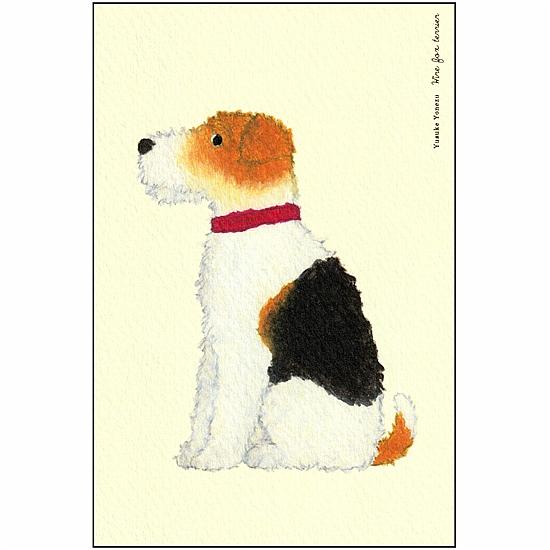 米津祐介 ポストカード（ワイヤーフォックステリア）の画像