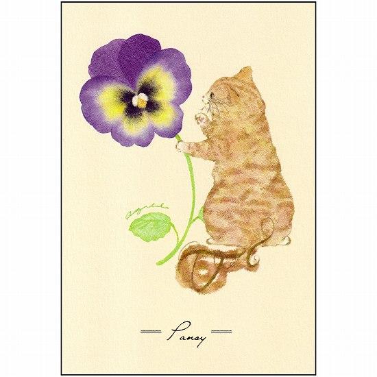 metty bebe ポストカード（パンジー）の画像
