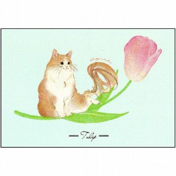 metty bebe ポストカード（チューリップ）の画像