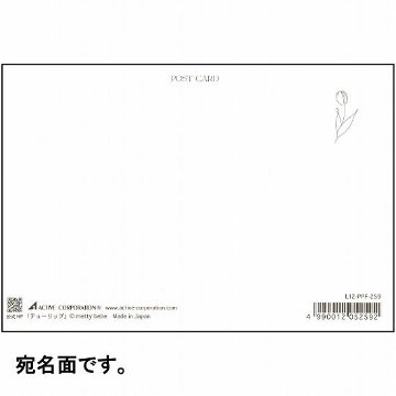 metty bebe ポストカード（チューリップ）の画像