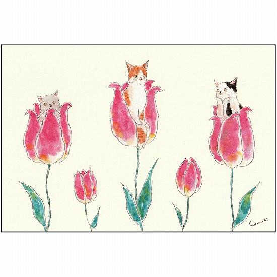 トコロコムギ ポストカード（おやゆび姫にゃんこ）の画像